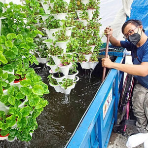 Donate a Satellite Farm RM28,000 / unit